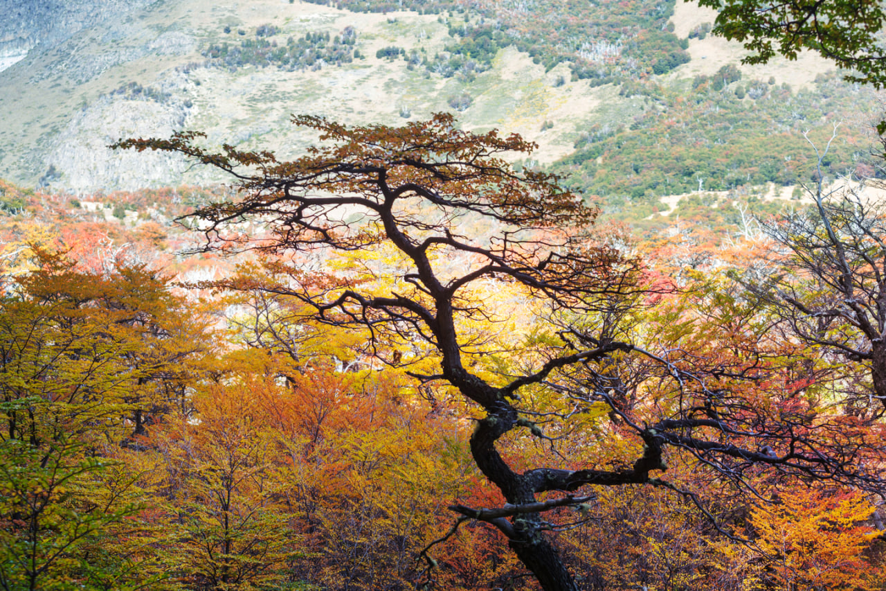 Color Mixing Techniques for Bright and Lively Paintings Color and Painting: A Match Made in Heaven